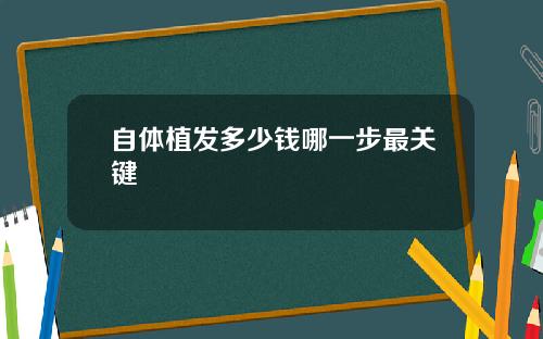 自体植发多少钱哪一步最关键