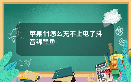 苹果11怎么充不上电了抖音锦鲤鱼