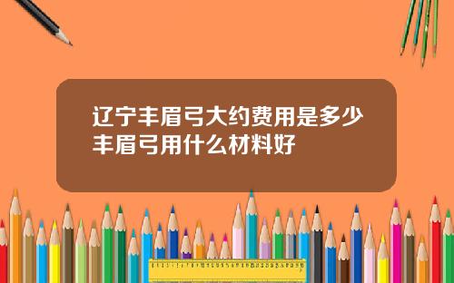 辽宁丰眉弓大约费用是多少丰眉弓用什么材料好
