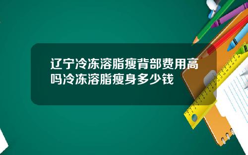 辽宁冷冻溶脂瘦背部费用高吗冷冻溶脂瘦身多少钱