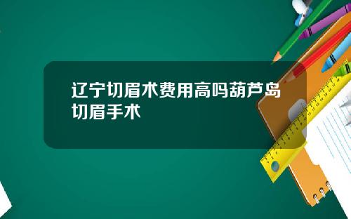 辽宁切眉术费用高吗葫芦岛切眉手术
