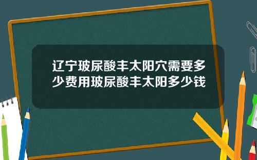 辽宁玻尿酸丰太阳穴需要多少费用玻尿酸丰太阳多少钱