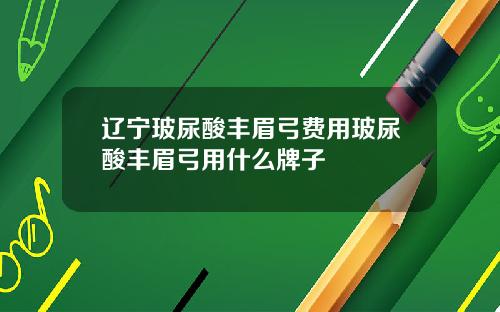 辽宁玻尿酸丰眉弓费用玻尿酸丰眉弓用什么牌子