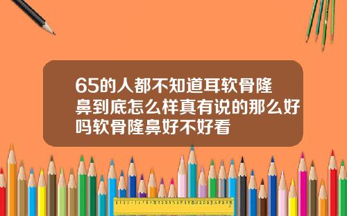 65的人都不知道耳软骨隆鼻到底怎么样真有说的那么好吗软骨隆鼻好不好看