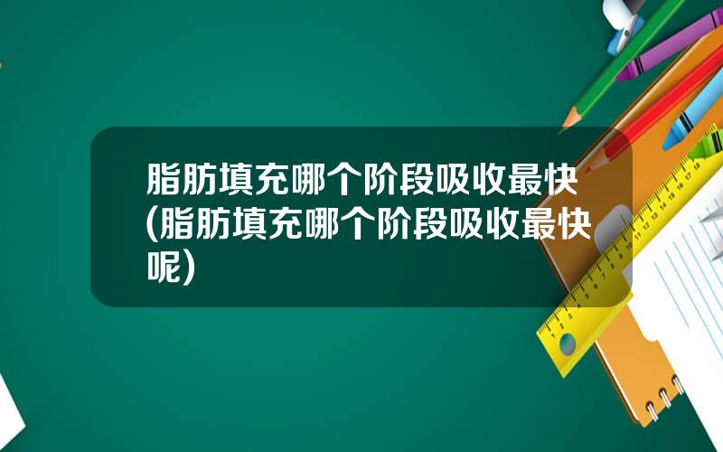 脂肪填充哪个阶段吸收最快(脂肪填充哪个阶段吸收最快呢)